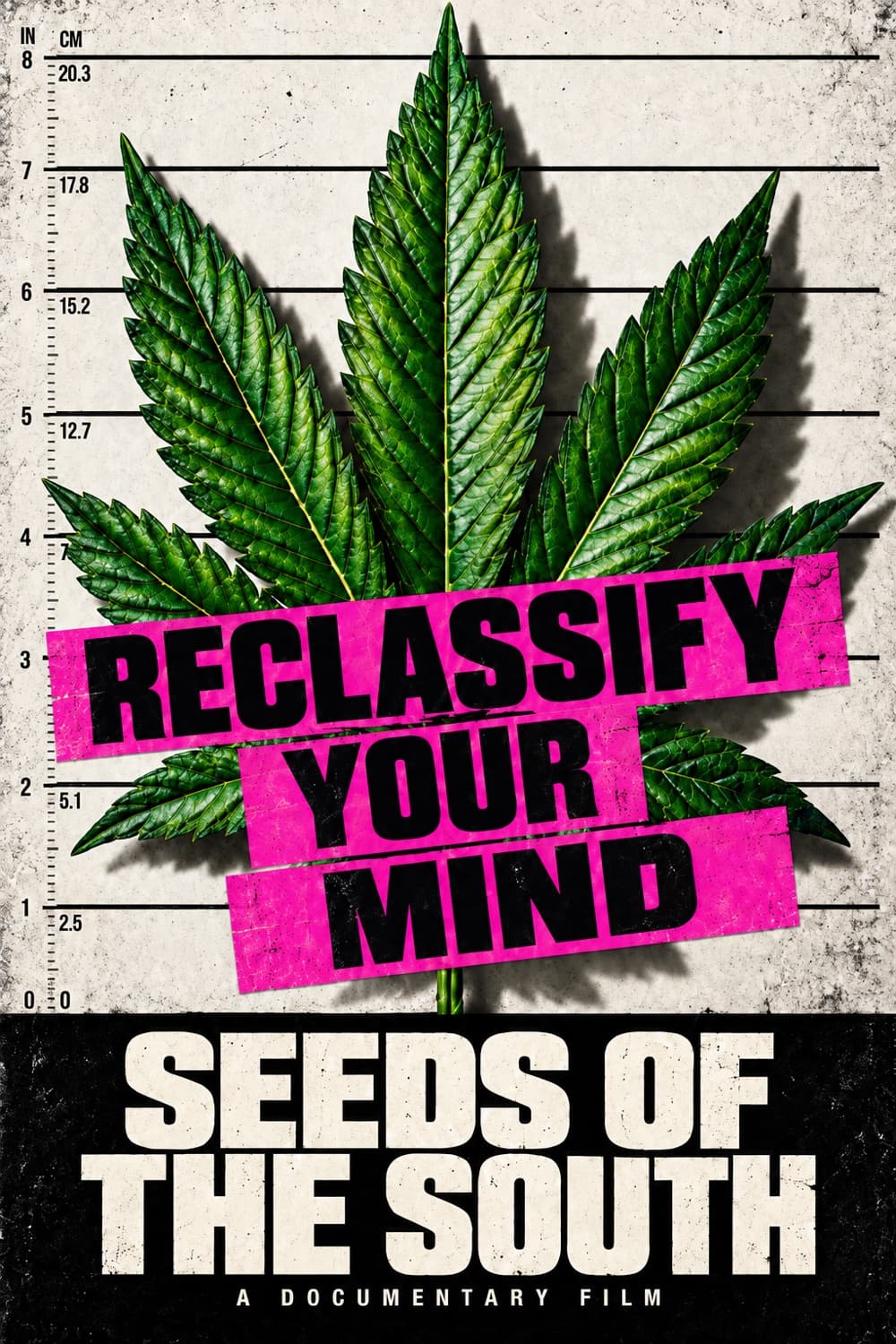 Seeds of the South poster